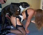 mujeres teniendo sexo con perros Porno Bizarro, Sexo Extremo